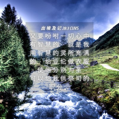 Picture 04 - 出 埃 及 记 28:3 CUVS - 又 要 吩 咐 一 切 心 中 有 智 慧 的 - Bible Verse Picture