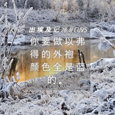 Picture 04 - 出 埃 及 记 28:31 CUVS - 你 要 做 以 弗 得 的 外 袍 ， 颜 色 - Bible Verse Picture
