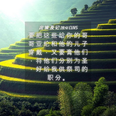 Picture 04 - 出 埃 及 记 28:41 CUVS - 要 把 这 些 给 你 的 哥 哥 亚 伦 和 - Bible Verse Picture