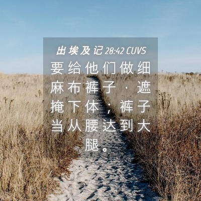 Picture 04 - 出 埃 及 记 28:42 CUVS - 要 给 他 们 做 细 麻 布 裤 子 ， 遮 - Bible Verse Picture