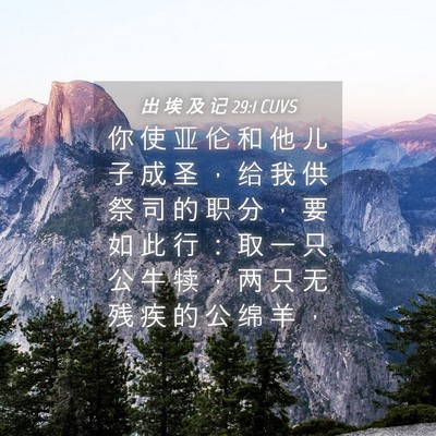 Picture 04 - 出 埃 及 记 29:1 CUVS - 你 使 亚 伦 和 他 儿 子 成 圣 ， 给 - Bible Verse Picture