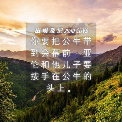 Picture 04 - 出 埃 及 记 29:10 CUVS - 你 要 把 公 牛 带 到 会 幕 前 ， 亚 - Bible Verse Picture