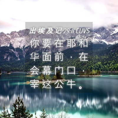 Picture 04 - 出 埃 及 记 29:11 CUVS - 你 要 在 耶 和 华 面 前 ， 在 会 幕 - Bible Verse Picture