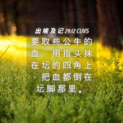 Picture 04 - 出 埃 及 记 29:12 CUVS - 要 取 些 公 牛 的 血 ， 用 指 头 抹 - Bible Verse Picture