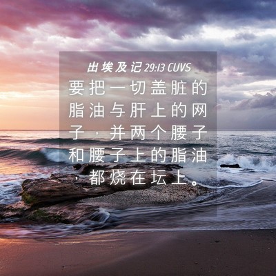 Picture 04 - 出 埃 及 记 29:13 CUVS - 要 把 一 切 盖 脏 的 脂 油 与 肝 上 - Bible Verse Picture