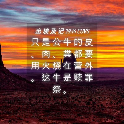 Picture 04 - 出 埃 及 记 29:14 CUVS - 只 是 公 牛 的 皮 、 肉 、 粪 都 要 - Bible Verse Picture
