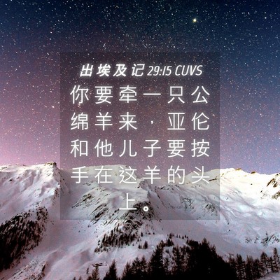 Picture 04 - 出 埃 及 记 29:15 CUVS - 你 要 牵 一 只 公 绵 羊 来 ， 亚 伦 - Bible Verse Picture