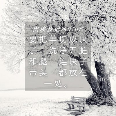 Picture 04 - 出 埃 及 记 29:17 CUVS - 要 把 羊 切 成 块 子 ， 洗 净 五 脏 - Bible Verse Picture