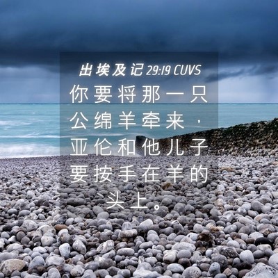 Picture 04 - 出 埃 及 记 29:19 CUVS - 你 要 将 那 一 只 公 绵 羊 牵 来 ， - Bible Verse Picture