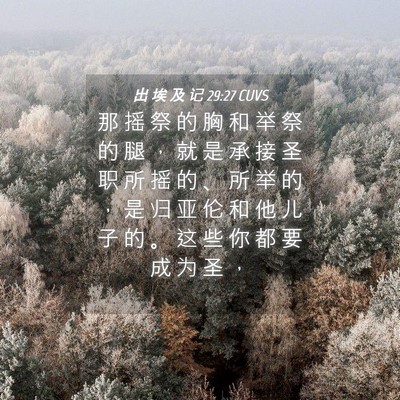 Picture 04 - 出 埃 及 记 29:27 CUVS - 那 摇 祭 的 胸 和 举 祭 的 腿 ， 就 - Bible Verse Picture