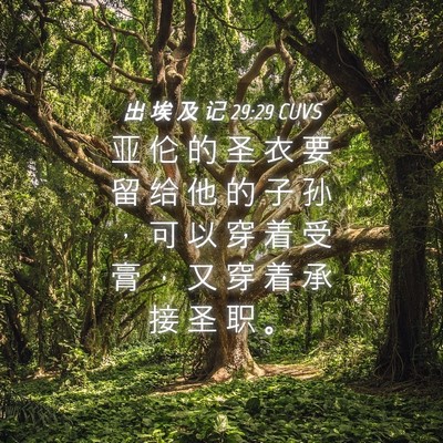 Picture 04 - 出 埃 及 记 29:29 CUVS - 亚 伦 的 圣 衣 要 留 给 他 的 子 孙 - Bible Verse Picture