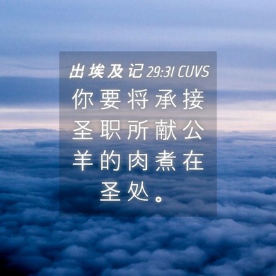 Picture 04 - 出 埃 及 记 29:31 CUVS - 你 要 将 承 接 圣 职 所 献 公 羊 的 - Bible Verse Picture