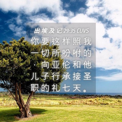 Picture 04 - 出 埃 及 记 29:35 CUVS - 你 要 这 样 照 我 一 切 所 吩 咐 的 - Bible Verse Picture