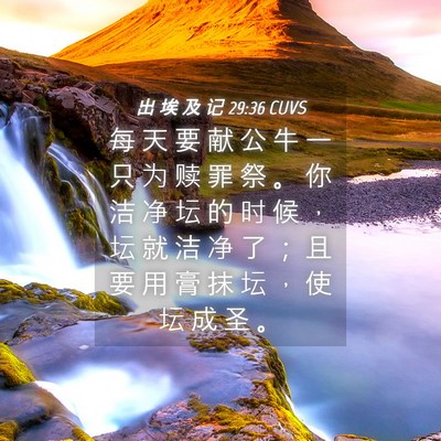 Picture 04 - 出 埃 及 记 29:36 CUVS - 每 天 要 献 公 牛 一 只 为 赎 罪 祭 - Bible Verse Picture
