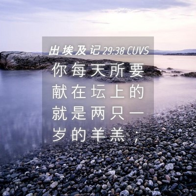 Picture 04 - 出 埃 及 记 29:38 CUVS - 你 每 天 所 要 献 在 坛 上 的 就 是 - Bible Verse Picture