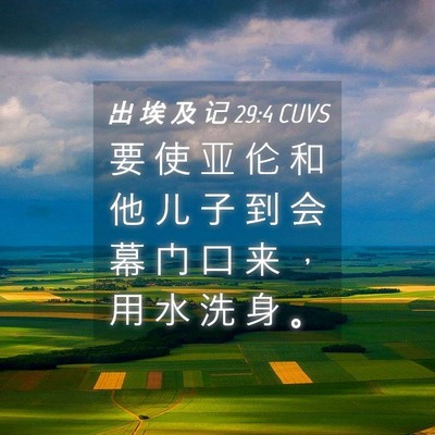 Picture 04 - 出 埃 及 记 29:4 CUVS - 要 使 亚 伦 和 他 儿 子 到 会 幕 门 - Bible Verse Picture