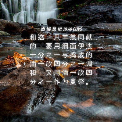 Picture 04 - 出 埃 及 记 29:40 CUVS - 和 这 一 只 羊 羔 同 献 的 ， 要 用 - Bible Verse Picture