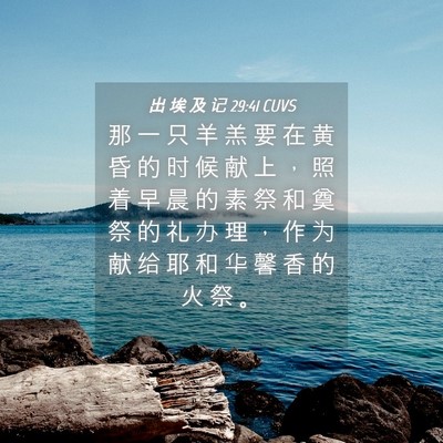 Picture 04 - 出 埃 及 记 29:41 CUVS - 那 一 只 羊 羔 要 在 黄 昏 的 时 候 - Bible Verse Picture