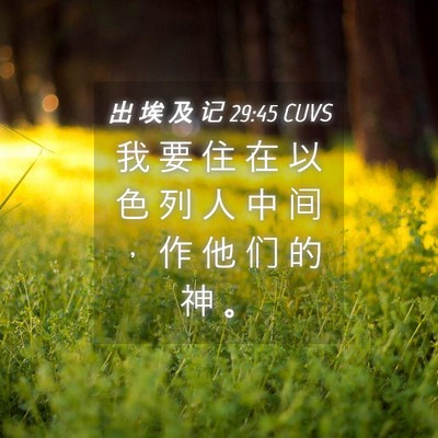 Picture 04 - 出 埃 及 记 29:45 CUVS - 我 要 住 在 以 色 列 人 中 间 ， 作 - Bible Verse Picture
