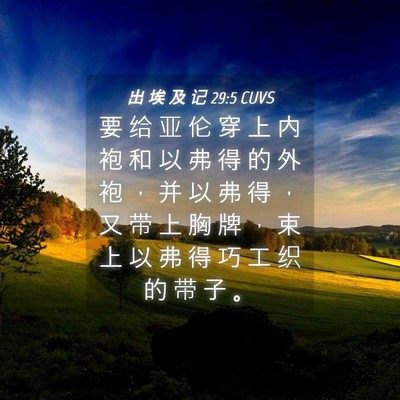 Picture 04 - 出 埃 及 记 29:5 CUVS - 要 给 亚 伦 穿 上 内 袍 和 以 弗 得 - Bible Verse Picture