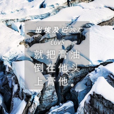 Picture 04 - 出 埃 及 记 29:7 CUVS - 就 把 膏 油 倒 在 他 头 上 膏 他 - Bible Verse Picture