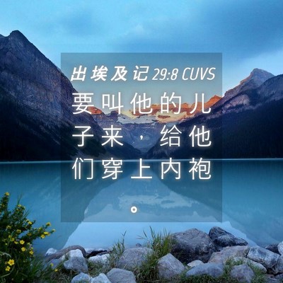 Picture 04 - 出 埃 及 记 29:8 CUVS - 要 叫 他 的 儿 子 来 ， 给 他 们 穿 - Bible Verse Picture