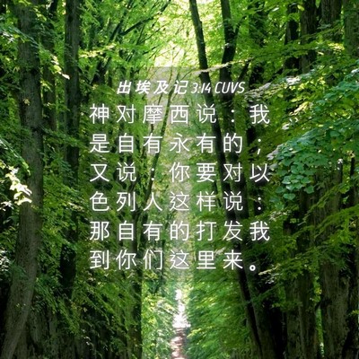 Picture 04 - 出 埃 及 记 3:14 CUVS - 神 对 摩 西 说 ： 我 是 自 有 永 有 - Bible Verse Picture