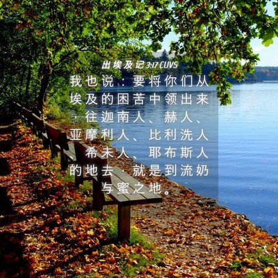 Picture 04 - 出 埃 及 记 3:17 CUVS - 我 也 说 ： 要 将 你 们 从 埃 及 的 - Bible Verse Picture
