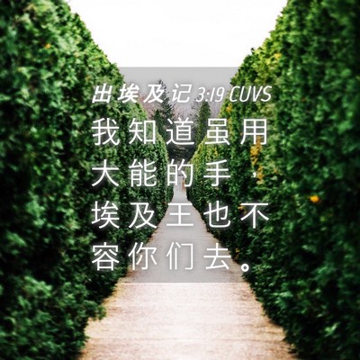 Picture 04 - 出 埃 及 记 3:19 CUVS - 我 知 道 虽 用 大 能 的 手 ， 埃 及 - Bible Verse Picture