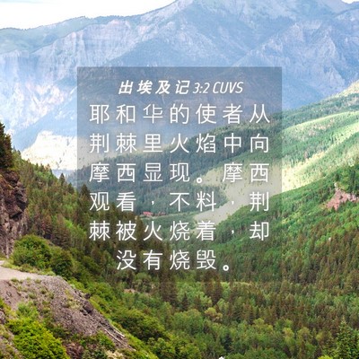 Picture 04 - 出 埃 及 记 3:2 CUVS - 耶 和 华 的 使 者 从 荆 棘 里 火 焰 - Bible Verse Picture