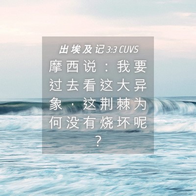 Picture 04 - 出 埃 及 记 3:3 CUVS - 摩 西 说 ： 我 要 过 去 看 这 大 异 - Bible Verse Picture