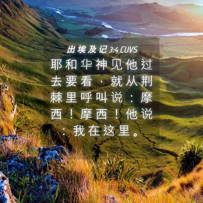 Picture 04 - 出 埃 及 记 3:4 CUVS - 耶 和 华 神 见 他 过 去 要 看 ， 就 - Bible Verse Picture