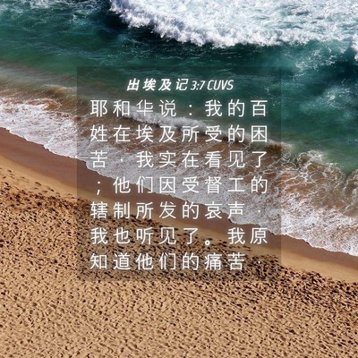 Picture 04 - 出 埃 及 记 3:7 CUVS - 耶 和 华 说 ： 我 的 百 姓 在 埃 及 - Bible Verse Picture