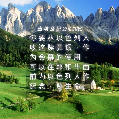 Picture 04 - 出 埃 及 记 30:16 CUVS - 你 要 从 以 色 列 人 收 这 赎 罪 银 - Bible Verse Picture