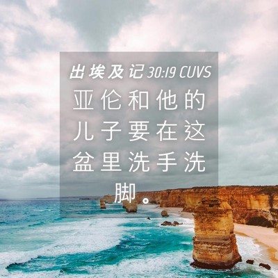Picture 04 - 出 埃 及 记 30:19 CUVS - 亚 伦 和 他 的 儿 子 要 在 这 盆 里 - Bible Verse Picture