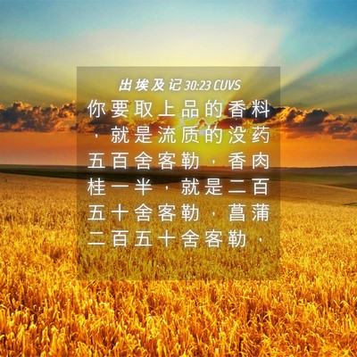 Picture 04 - 出 埃 及 记 30:23 CUVS - 你 要 取 上 品 的 香 料 ， 就 是 流 - Bible Verse Picture