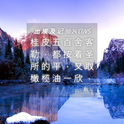 Picture 04 - 出 埃 及 记 30:24 CUVS - 桂 皮 五 百 舍 客 勒 ， 都 按 着 圣 - Bible Verse Picture