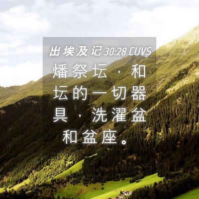 Picture 04 - 出 埃 及 记 30:28 CUVS - 燔 祭 坛 ， 和 坛 的 一 切 器 具 ， - Bible Verse Picture