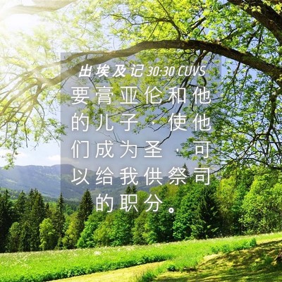 Picture 04 - 出 埃 及 记 30:30 CUVS - 要 膏 亚 伦 和 他 的 儿 子 ， 使 他 - Bible Verse Picture