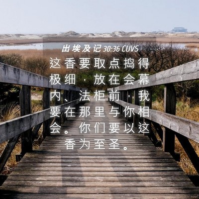 Picture 04 - 出 埃 及 记 30:36 CUVS - 这 香 要 取 点 捣 得 极 细 ， 放 在 - Bible Verse Picture