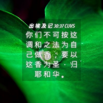 Picture 04 - 出 埃 及 记 30:37 CUVS - 你 们 不 可 按 这 调 和 之 法 为 自 - Bible Verse Picture