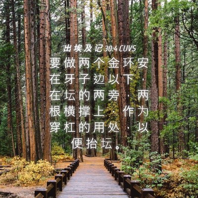Picture 04 - 出 埃 及 记 30:4 CUVS - 要 做 两 个 金 环 安 在 牙 子 边 以 - Bible Verse Picture