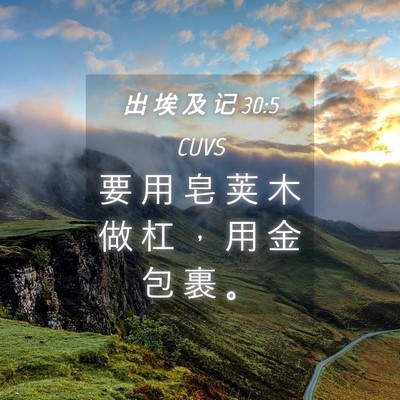 Picture 04 - 出 埃 及 记 30:5 CUVS - 要 用 皂 荚 木 做 杠 ， 用 金 包 裹 - Bible Verse Picture