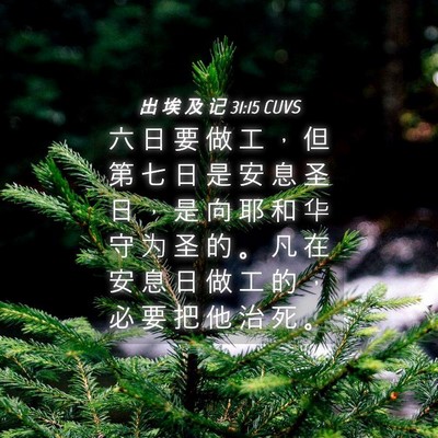 Picture 04 - 出 埃 及 记 31:15 CUVS - 六 日 要 做 工 ， 但 第 七 日 是 安 - Bible Verse Picture