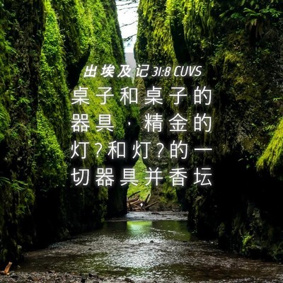 Picture 04 - 出 埃 及 记 31:8 CUVS - 桌 子 和 桌 子 的 器 具 ， 精 金 的 - Bible Verse Picture