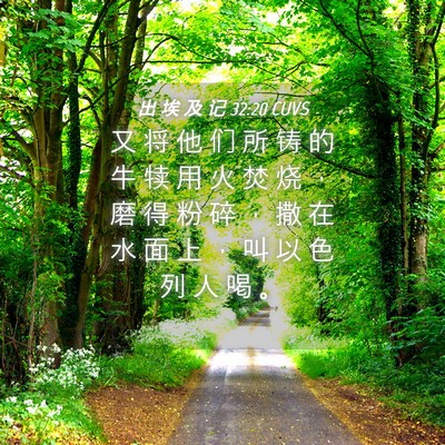 Picture 04 - 出 埃 及 记 32:20 CUVS - 又 将 他 们 所 铸 的 牛 犊 用 火 焚 - Bible Verse Picture