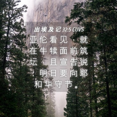 Picture 04 - 出 埃 及 记 32:5 CUVS - 亚 伦 看 见 ， 就 在 牛 犊 面 前 筑 - Bible Verse Picture