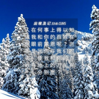 Picture 04 - 出 埃 及 记 33:16 CUVS - 人 在 何 事 上 得 以 知 道 我 和 你 - Bible Verse Picture