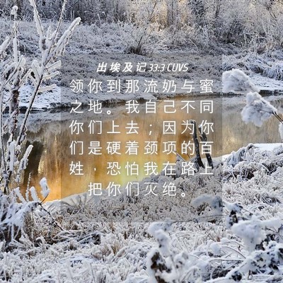 Picture 04 - 出 埃 及 记 33:3 CUVS - 领 你 到 那 流 奶 与 蜜 之 地 。 我 - Bible Verse Picture