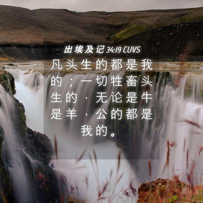 Picture 04 - 出 埃 及 记 34:19 CUVS - 凡 头 生 的 都 是 我 的 ； 一 切 牲 - Bible Verse Picture